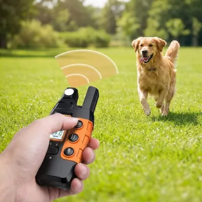Dog training collar (1000m) with remote control for small and medium-sized dogs..., animal feed, products and services ad in Riga 6