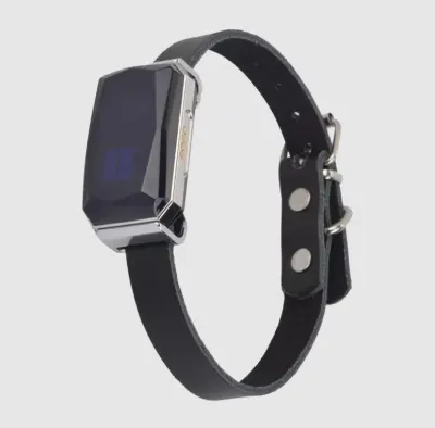 GPS Tracking Collar for Dogs and Cats G12P IP67 5-10d,  animal feed, products and services ad in Riga 9
