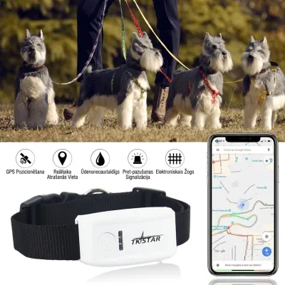 GPS-трекер для животных с SIM-картой, класс защиты IP65, 1000 мА·ч, 30 ч, корм, товары и принадлежности ad в Риге 4