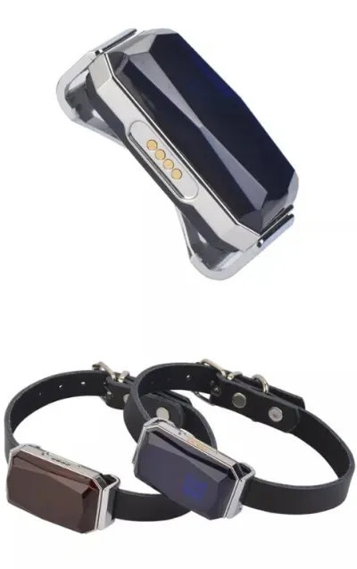 GPS Tracking Collar for Dogs and Cats G12P IP67 5-10d,  animal feed, products and services ad in Riga 7