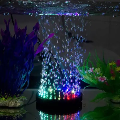 100 glow-in-the-dark stones for aquariums and gardens; they charge in the sun,  animal feed, products and services ad in Riga 2