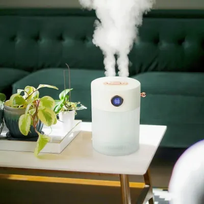 Powerful Humidifier (Rechargeable, Filters Included), home appliances ad in Riga 1