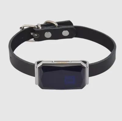 GPS Tracking Collar for Dogs and Cats G12P IP67 5-10d,  animal feed, products and services ad in Riga 8