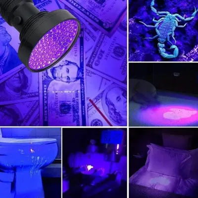 Powerful Ultraviolet Flashlight 100 MaxLed, sports activities, equipment, accessories ad in Riga 5