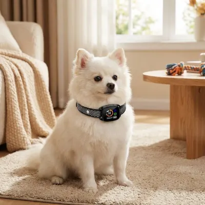 Mini Dog Anti-Barking Collar (Gentle—Vibration and Ultrasound, No Electric Shocks), optics, hearing aids, health aids ad in Riga 2