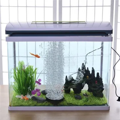 Underwater LED lighting for an aquarium with bubbles, in various colors, animal feed, products and services ad in Riga 6