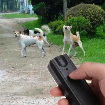 Ultrasonic Dog Deterrent,  animal feed, products and services ad in Riga 6