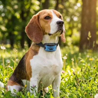 Vibration-Mode Dog Anti-Bark Collar, Rechargeable and Water-Resistant, 7..., animal feed, products and services ad in Riga 3