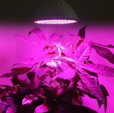 Augu lampa 200 Led (augu lampas, augu spuldze, istabas augi), mēbeles un interjers, apgaismojums sludinājums Rīgā 3