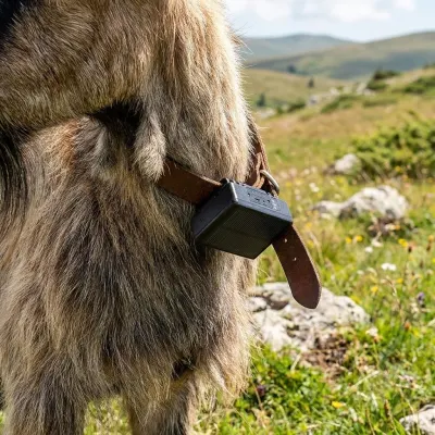 GPS Tracking Device for Large Animals with Solar Panel, 9000mAh, IP67,  animal feed, products and services ad in Riga 4