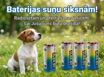 AAA 1.5V alkaline battery for remote controls, toys, and electronics, toys ad in Riga 1