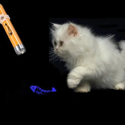 Cat toy fish with LED laser projector, aluminum housing, animal feed, products and services ad in Riga 4