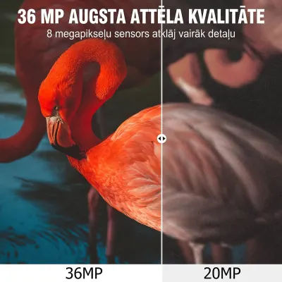 Suntek HC-910Pro 4G Game Camera with 4K Live Streaming, 36 MP,  animal feed, products and services ad in Riga 8