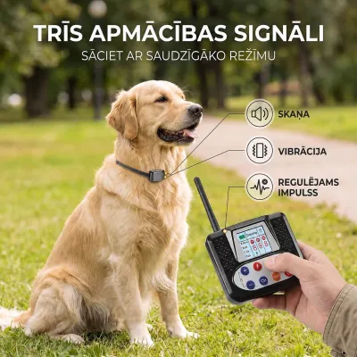 Training system for 2 dogs with a radio collar function – up to 500 m, tv and electronics ad in Riga 3