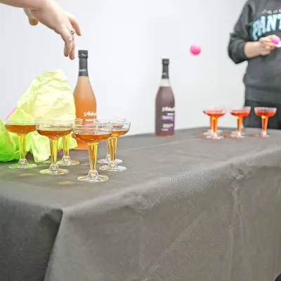 "Prosecco Pong" Party Game Set, furniture and interior, lighting ad in Riga 10